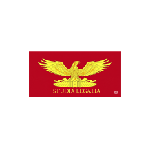 Mesa de trabajo 24 copia 4